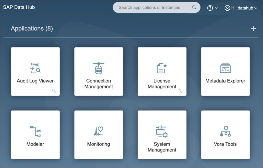 What Is The Sap Hana Data Management Suite