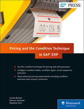 Pricing and the Condition Technique in SAP ERP