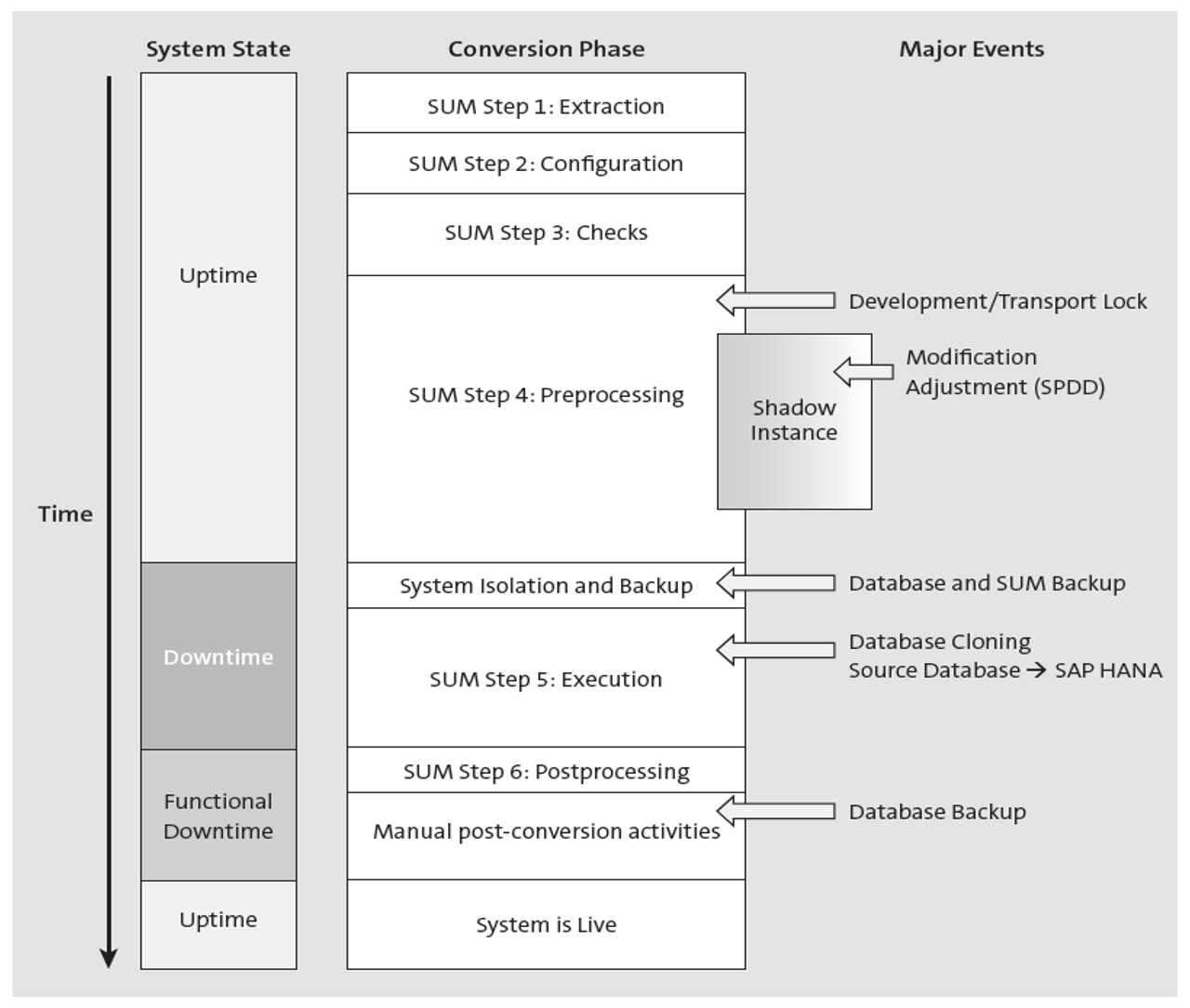 Schema of Conversion Process