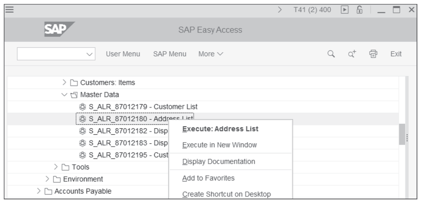 Context Menu for the Transaction Entry in the SAP Menu