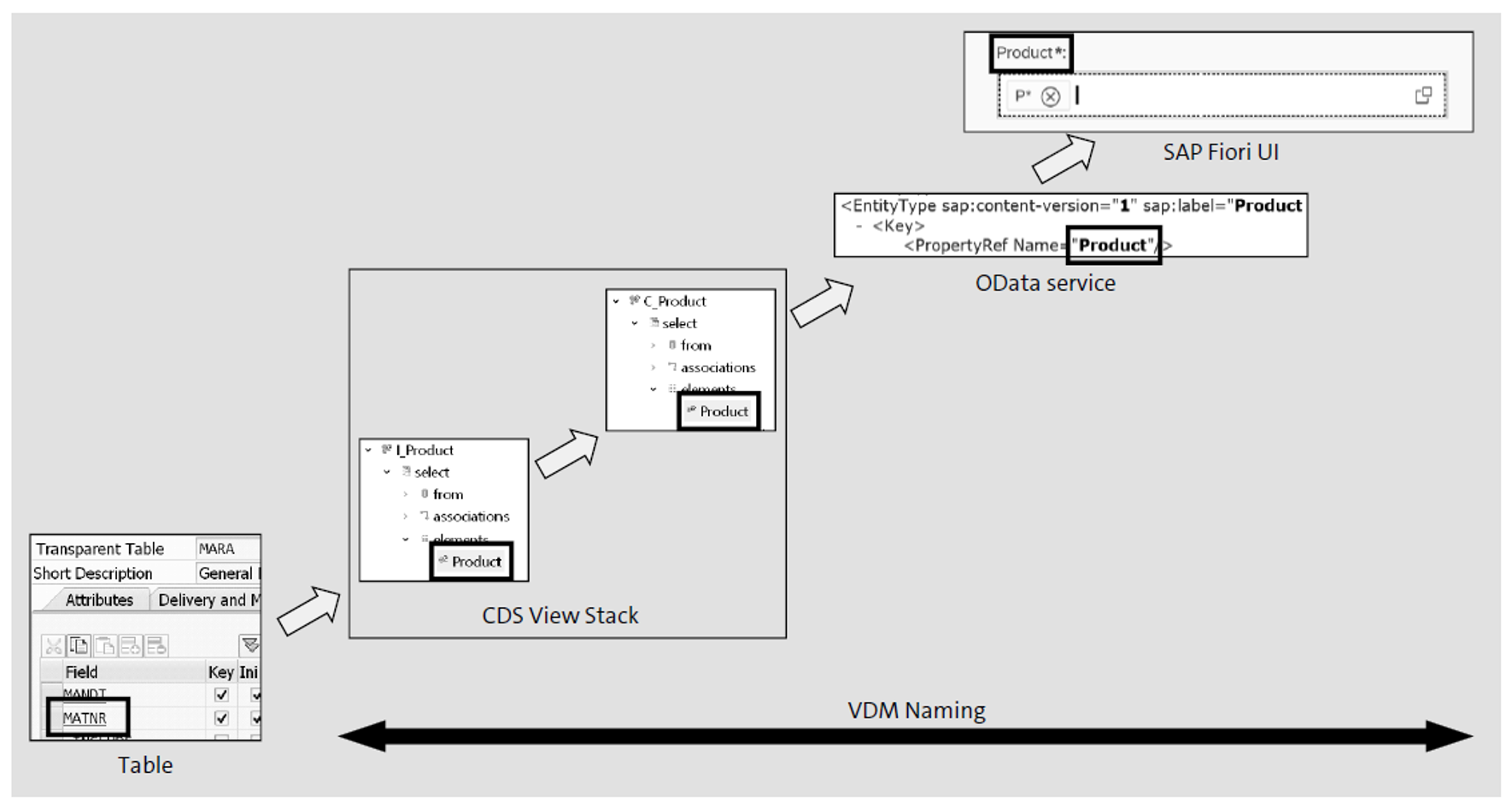 Field Names in VDM