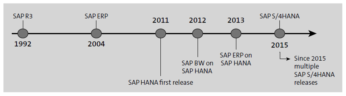 SAP’s Evolutionary Process at a Glance