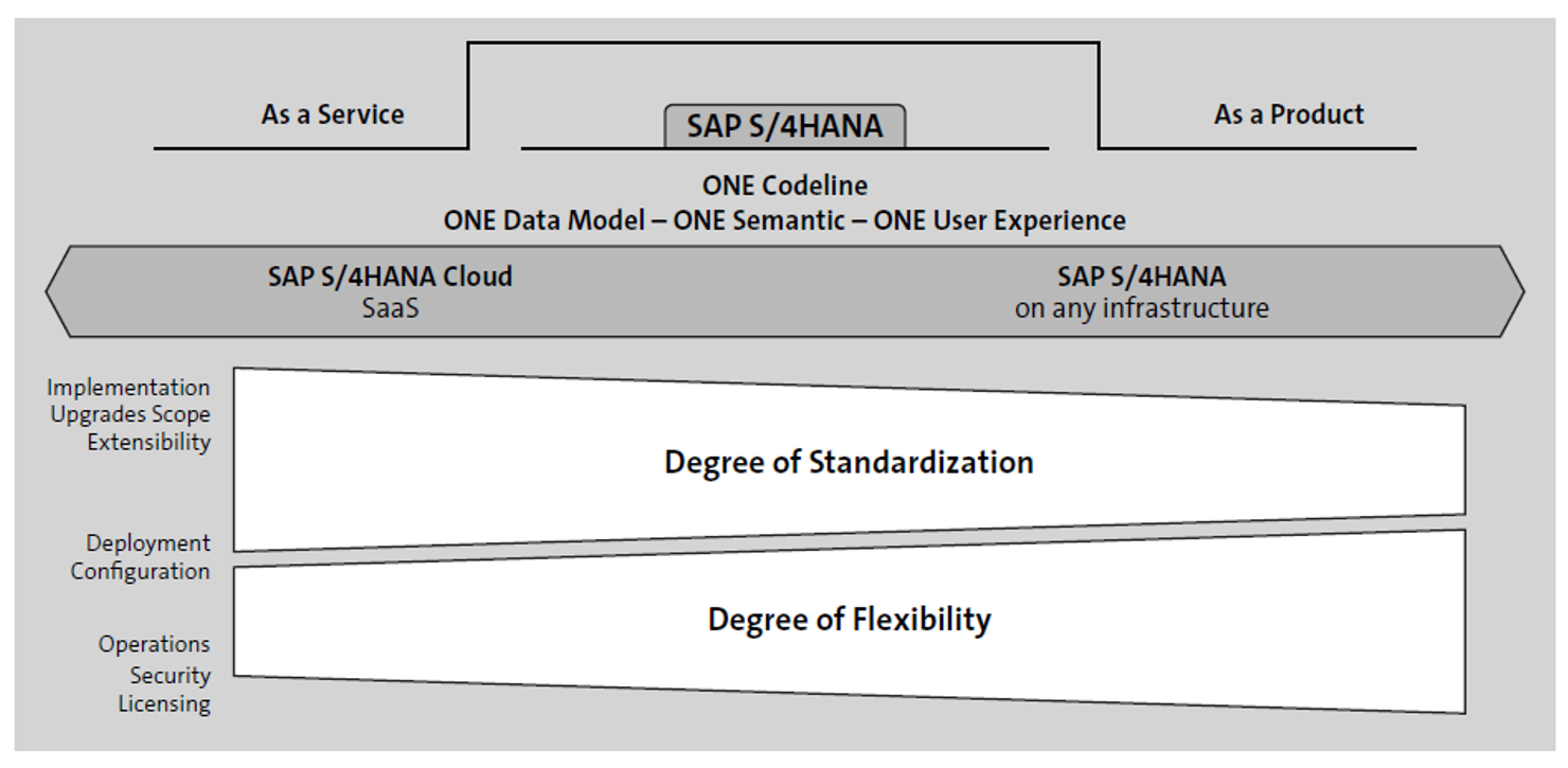 Balancing Standardization and Flexibility