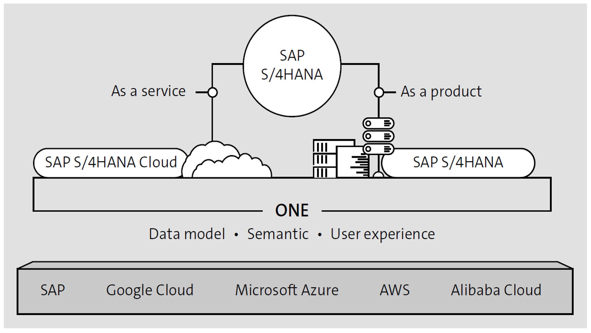 SAP S/4HANA Cloud Deployment Options