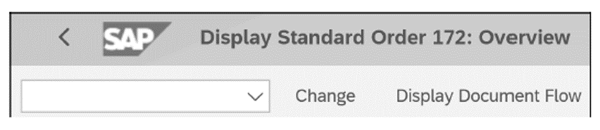 Display Standard Order 172: Overview in Change Mode (Display Icon Appears)