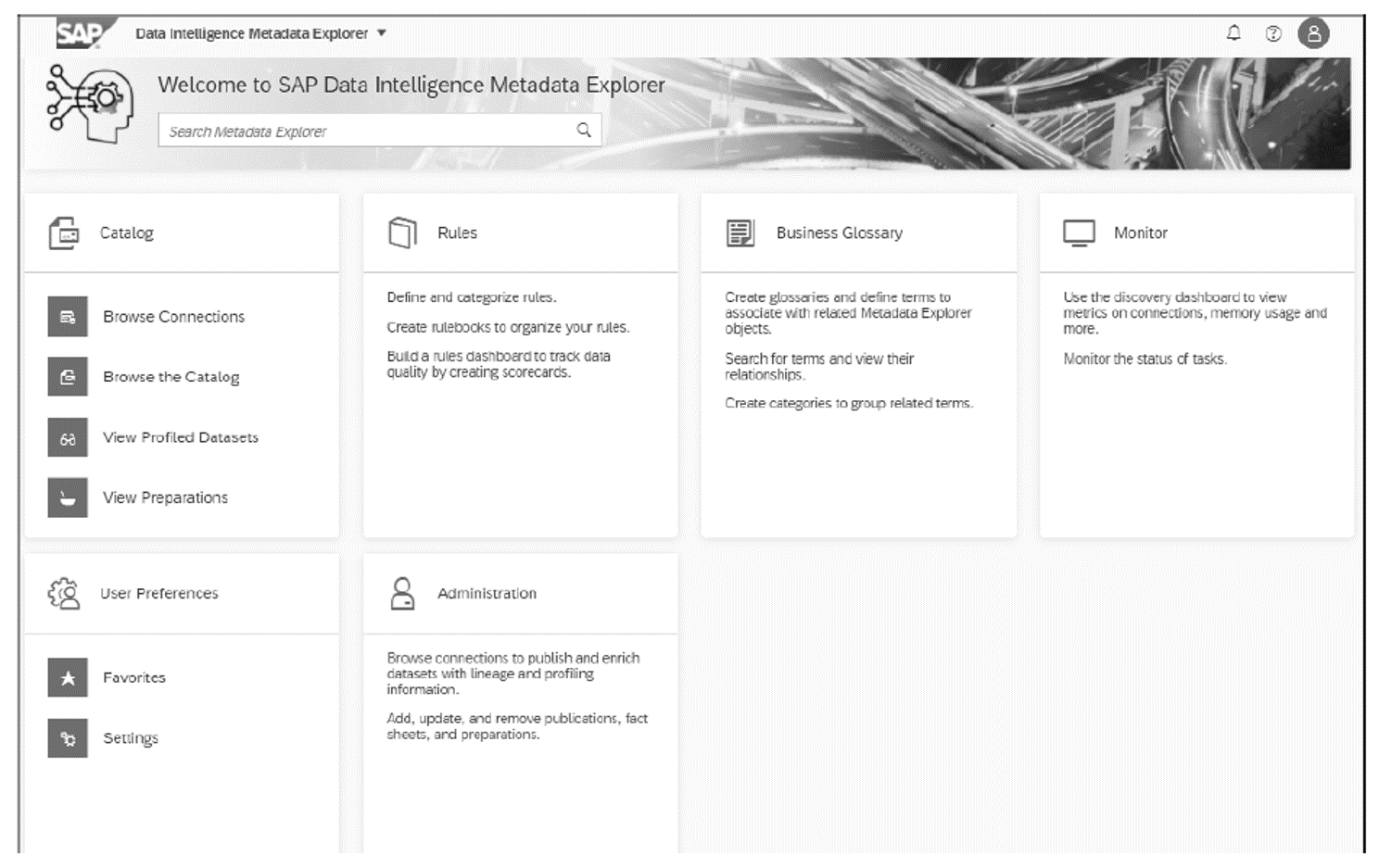 SAP Data Intelligence: Metadata Explorer