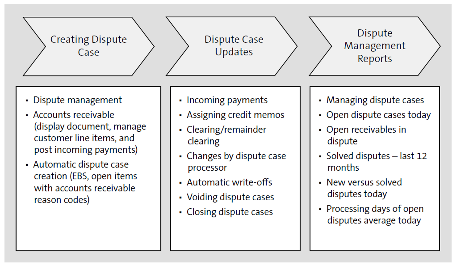 SAP S/4HANA Dispute Management Processes and Functionality