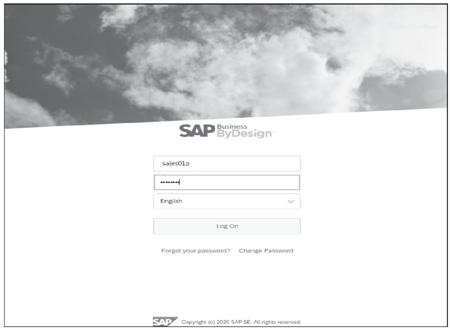 Getting Started In SAP Business ByDesign