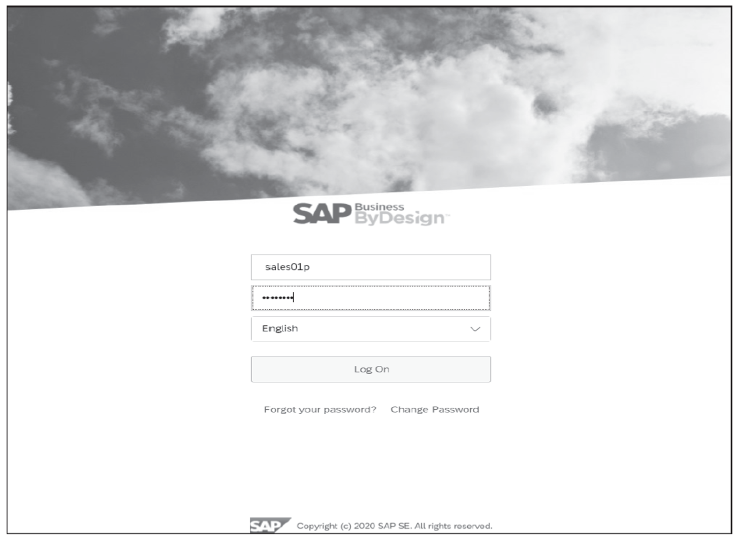 SAP Business ByDesign Logon Screen
