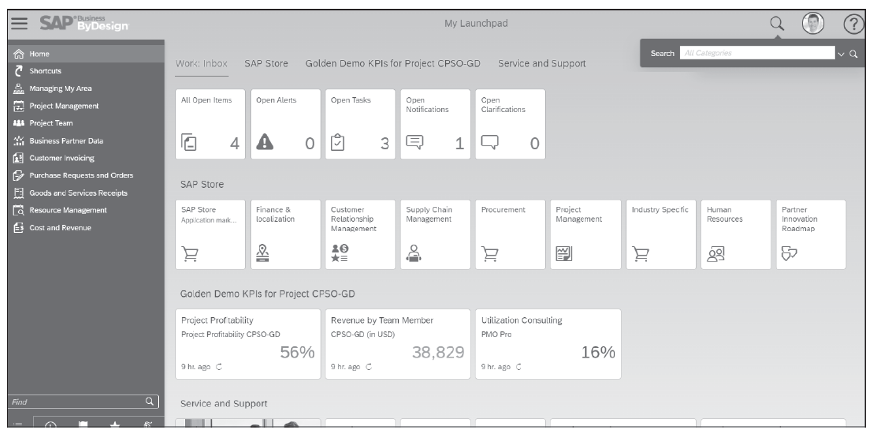 Getting Started In SAP Business ByDesign