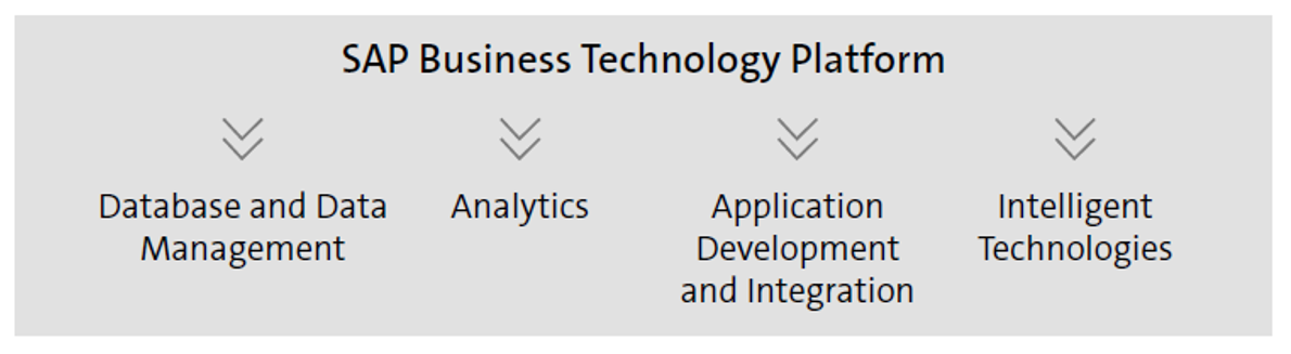 Structure of SAP BTP