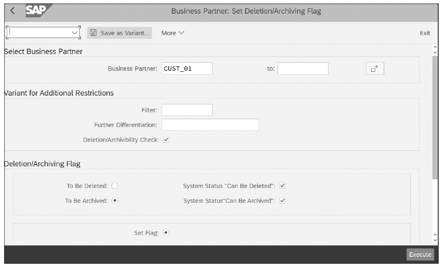 Business Partner: Marked for Archiving