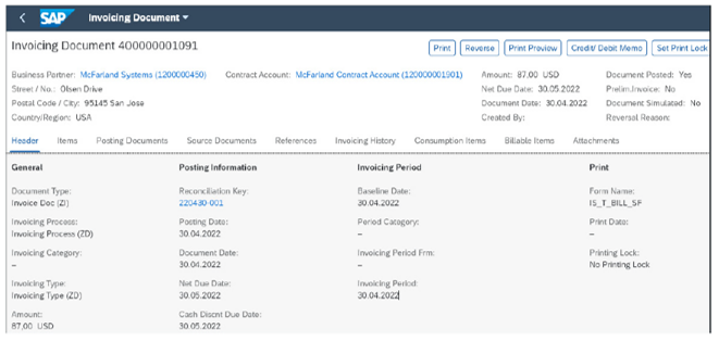 Detail View of Invoicing Document App