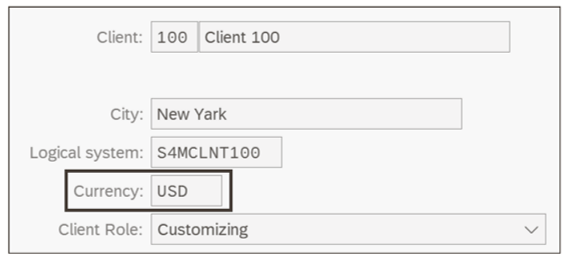 Group Currency Setting in the Client