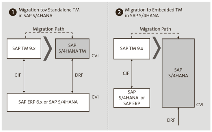 Migration Paths from SAP TM to SAP S/4HANA TM