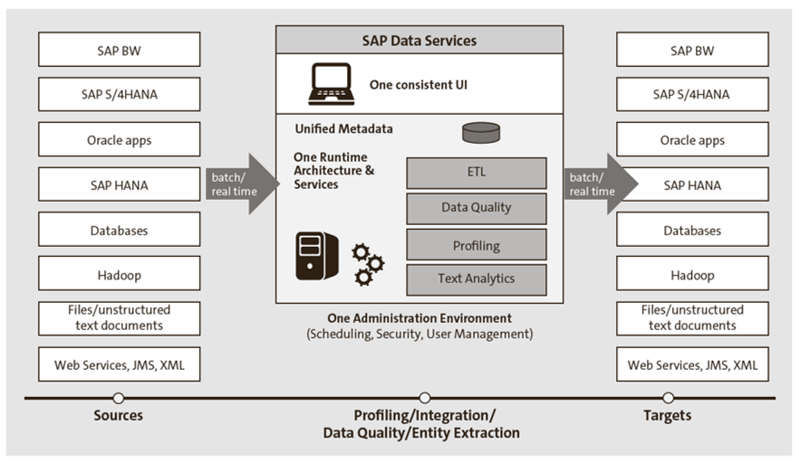 Servicios de datos de SAP: capacidades clave