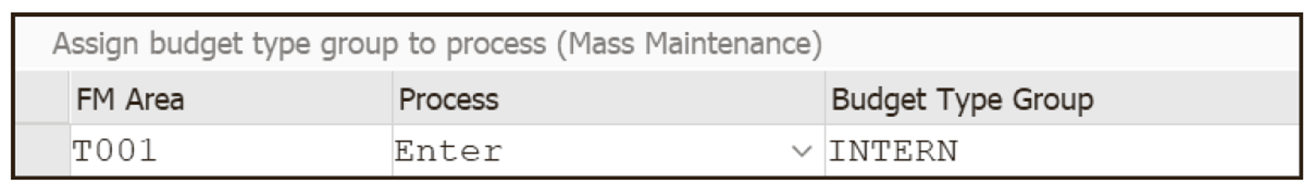 Assign Budget Type Groups to Processes (Mass Maintenance)