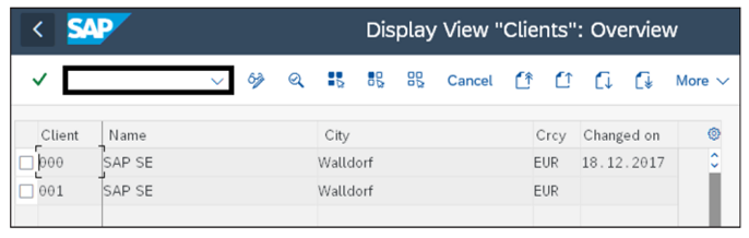 Transaction SCC4: List of Clients