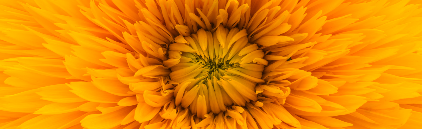 5 Golden Rules for Implementing SAP S/4HANA with SAP Activate