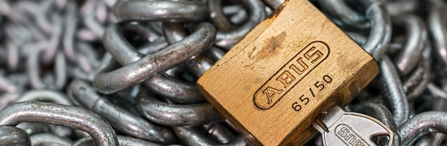 What Is SAP Access Control?