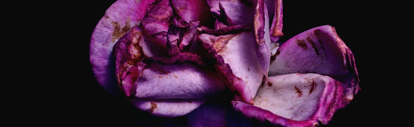 Common SAP Fiori App Issues in SAP GRC (and What They Indicate)