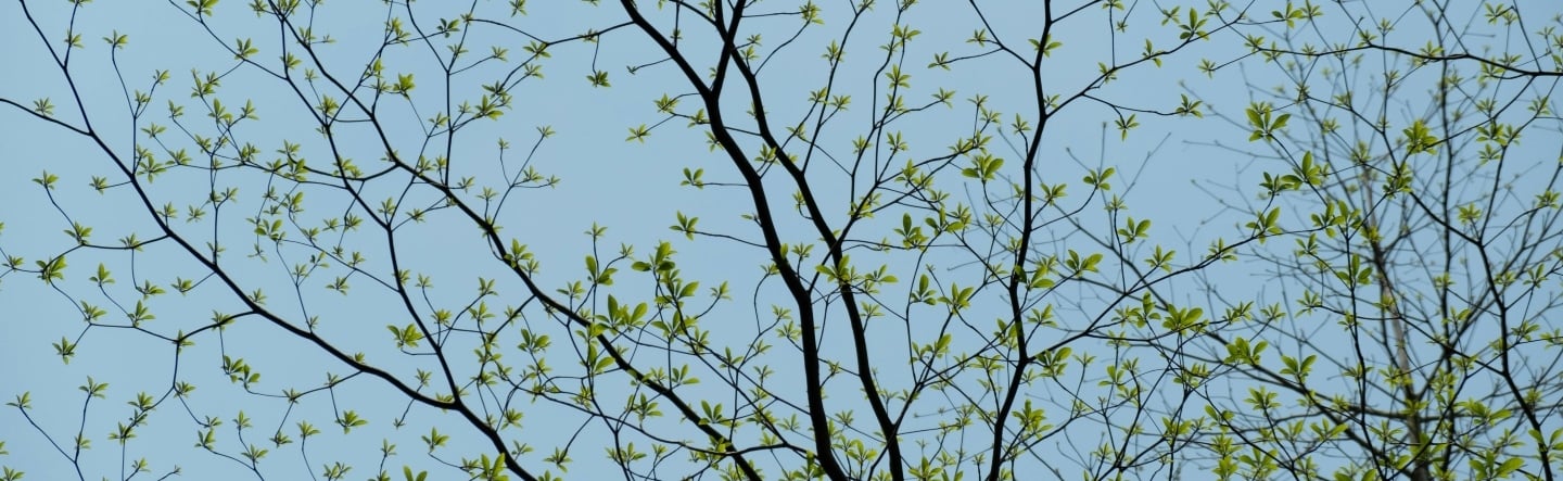 End-to-End SAP Landscape Refresh Automation: A Service Delivery Perspective