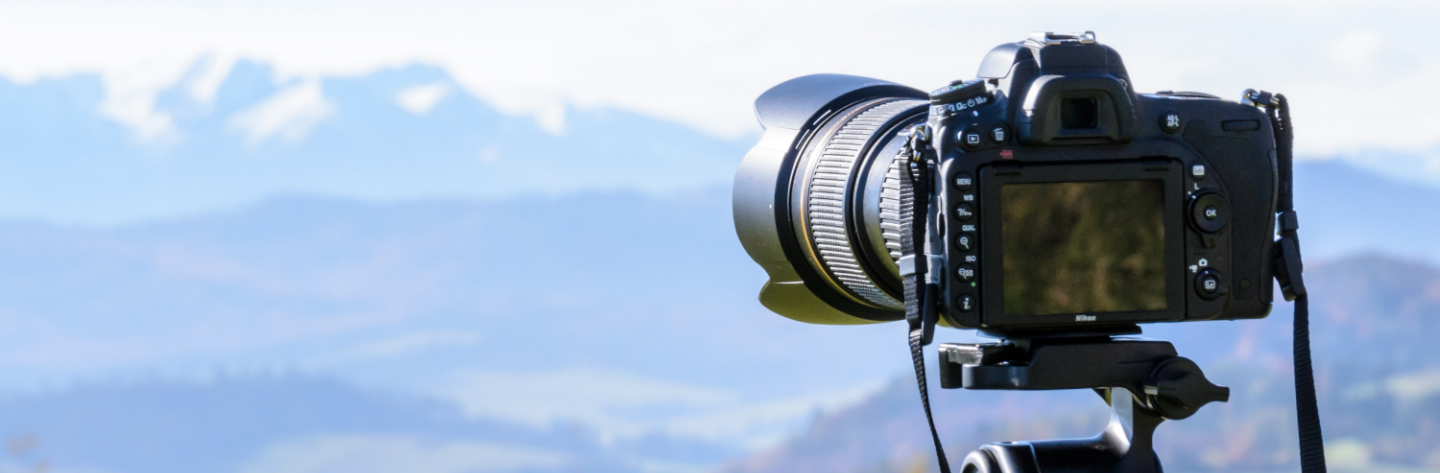Excise Duty Monitoring with SAP GTS