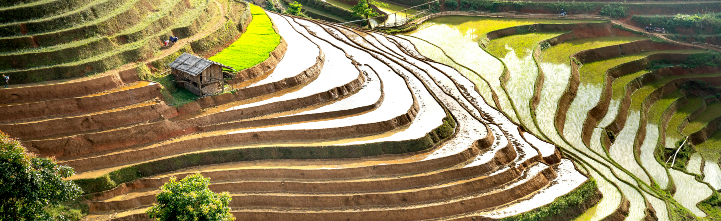 How Can SAP Multi-Tier Collaboration Be Used with Subcontracting Collaboration?