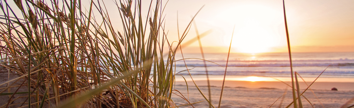 <span id="hs_cos_wrapper_name" class="hs_cos_wrapper hs_cos_wrapper_meta_field hs_cos_wrapper_type_text" style="" data-hs-cos-general-type="meta_field" data-hs-cos-type="text" >How to Use SAP Ariba Discovery as a Buyer or Seller</span>