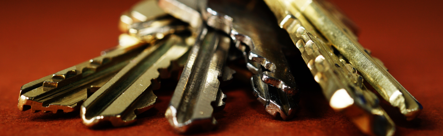 Implementing SAP Access Control