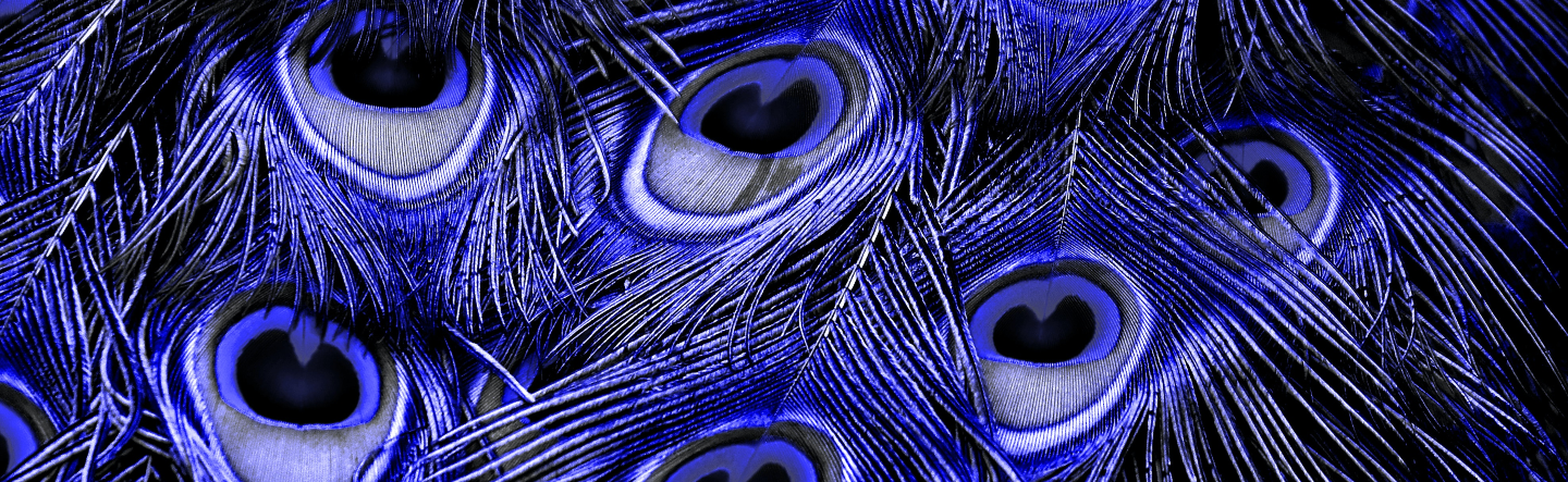 <span id="hs_cos_wrapper_name" class="hs_cos_wrapper hs_cos_wrapper_meta_field hs_cos_wrapper_type_text" style="" data-hs-cos-general-type="meta_field" data-hs-cos-type="text" >Installing SAP Ariba Cloud Integration Gateway</span>