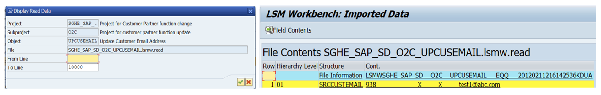 LSMW_figure_027