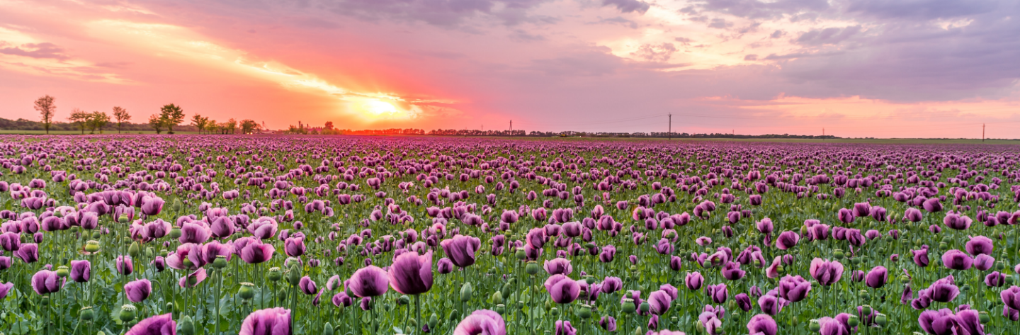 SAP Fiori Apps for Maintenance Planning with SAP S/4HANA
