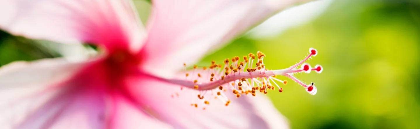 SAP Fiori Apps for SAP S/4HANA SD