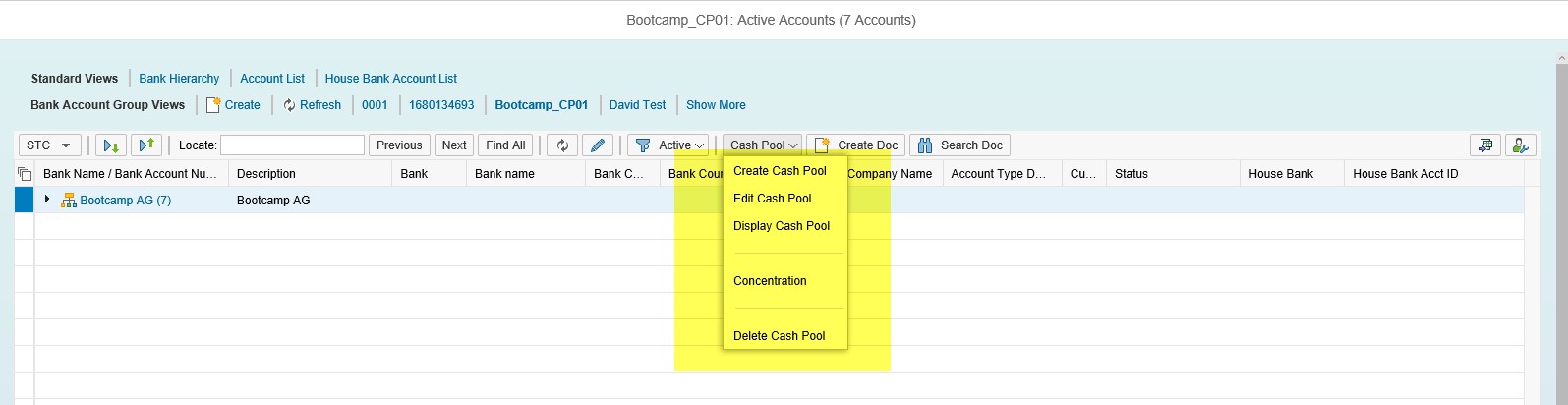 Cash Pools