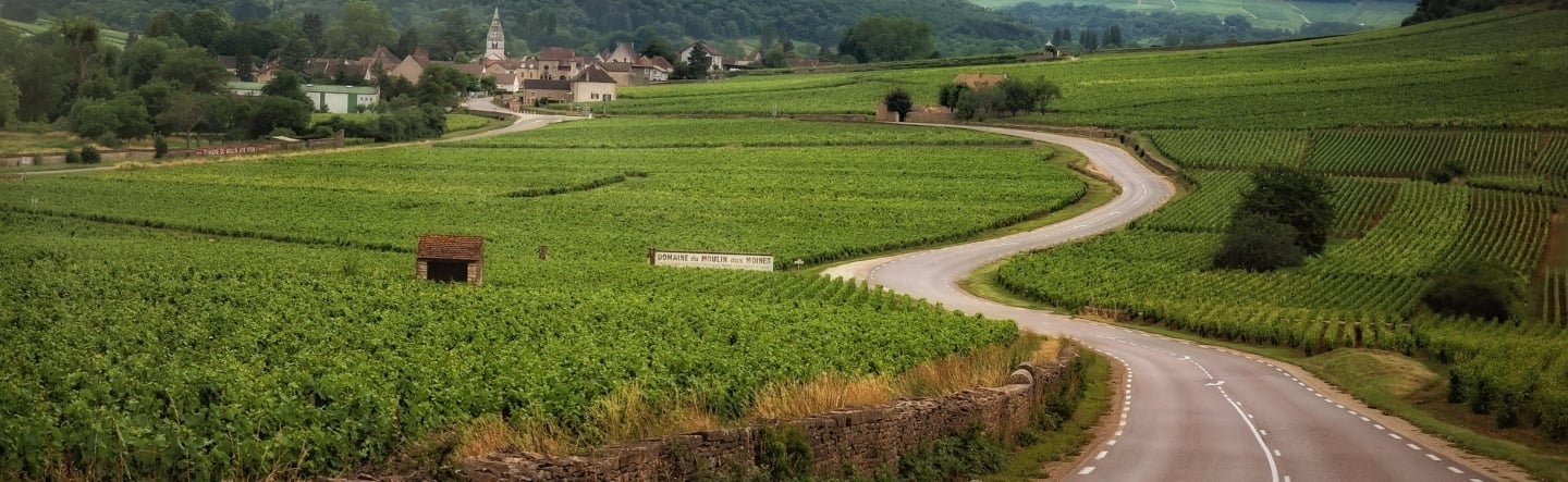 The Roadmap to SAP S/4HANA and Its Innovations