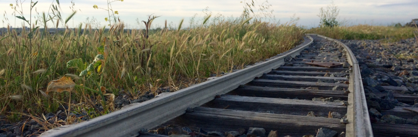 Two-Track ABAP Development with AMDP and ABAP
