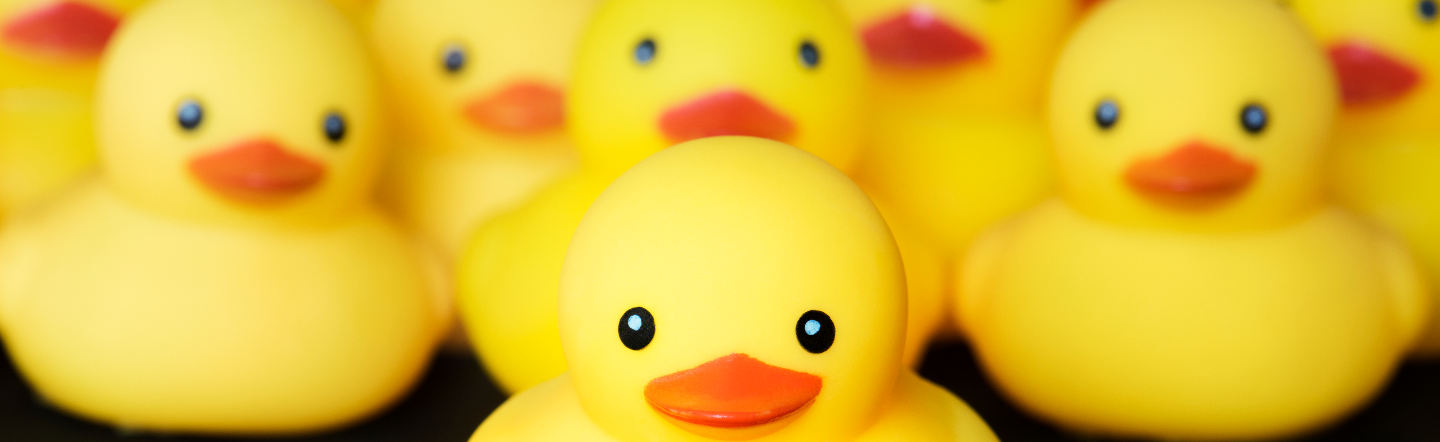 What Does New Asset Accounting Bring to Your SAP S/4HANA System?