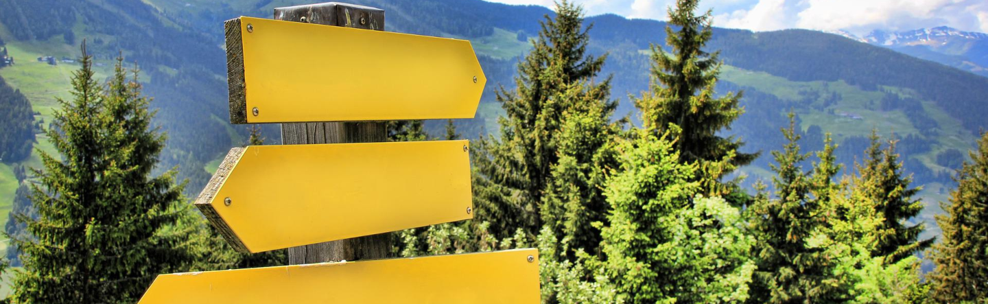What Is SAP Signavio?