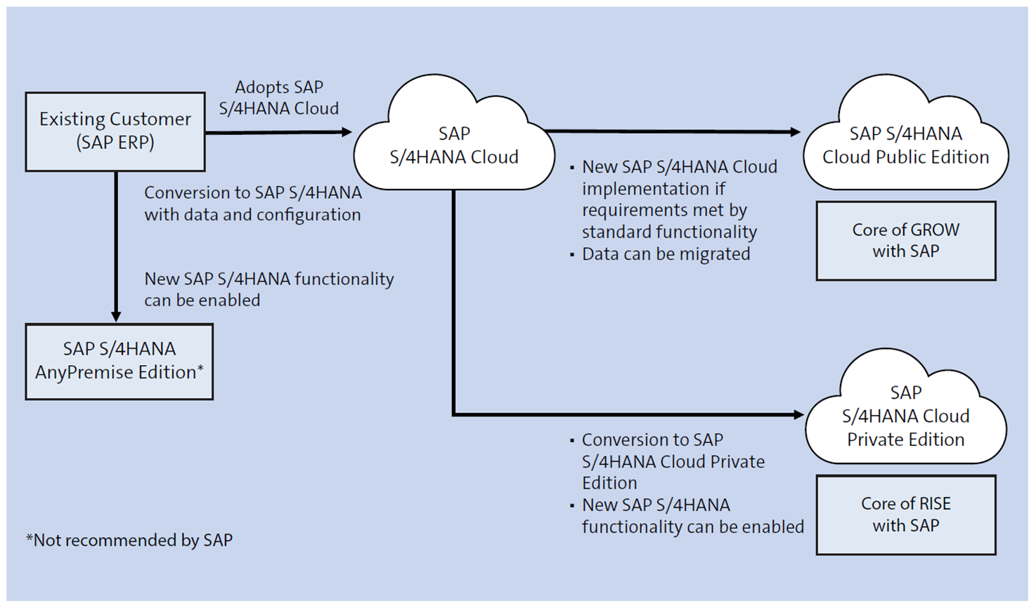 Product Options for SAP Customer with an Existing SAP ERP Landscape SAP S/4HANA Cloud Public Edition