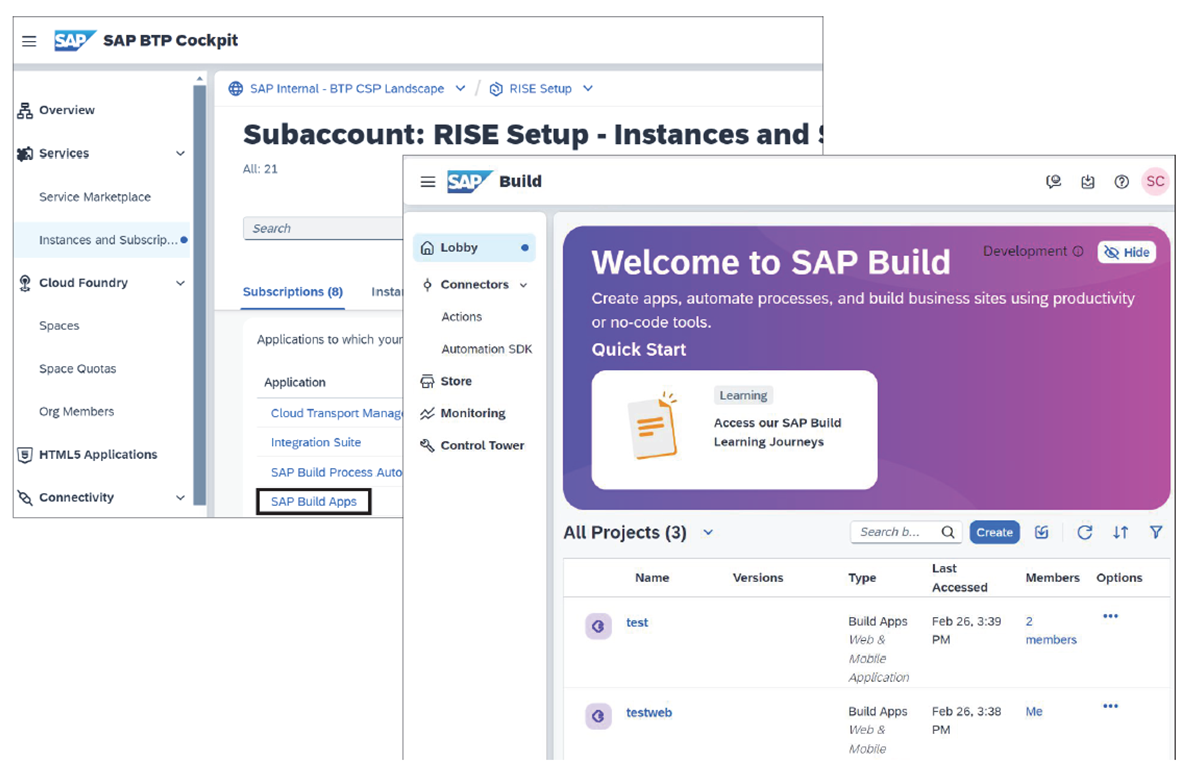 Low-Code/No-Code Platform Support for SAP BTP