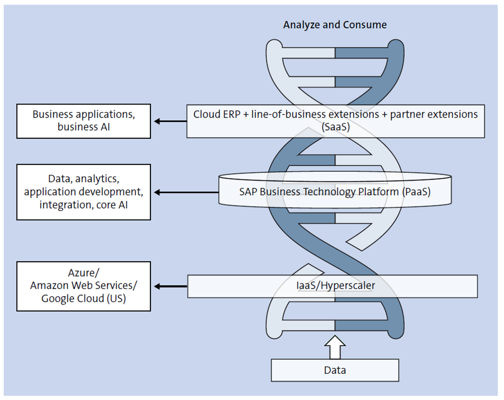 RISE with SAP Components