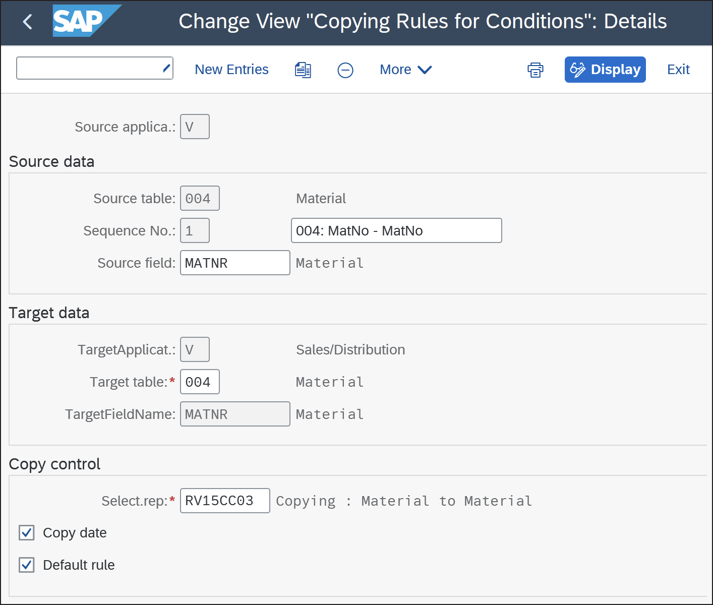 Copying Rules for Conditions: Details Screen