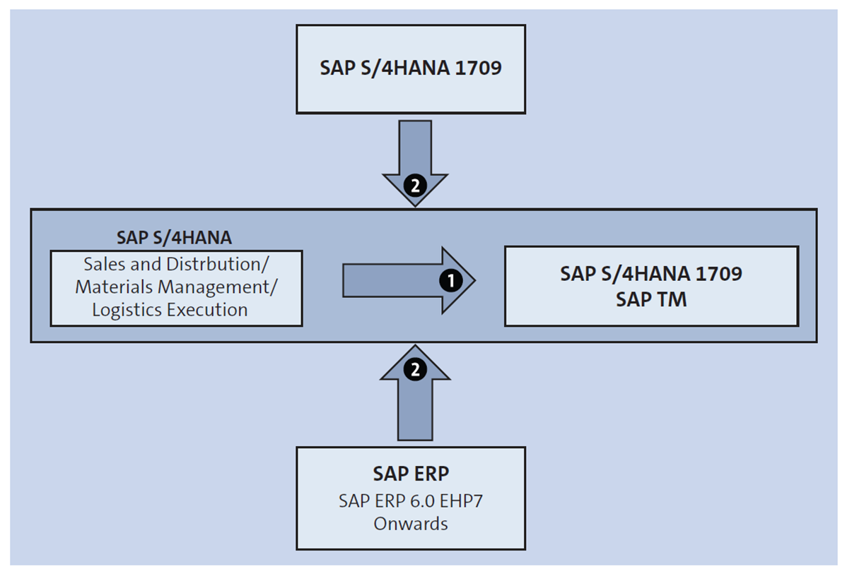 Opciones de implementación de SAP TM