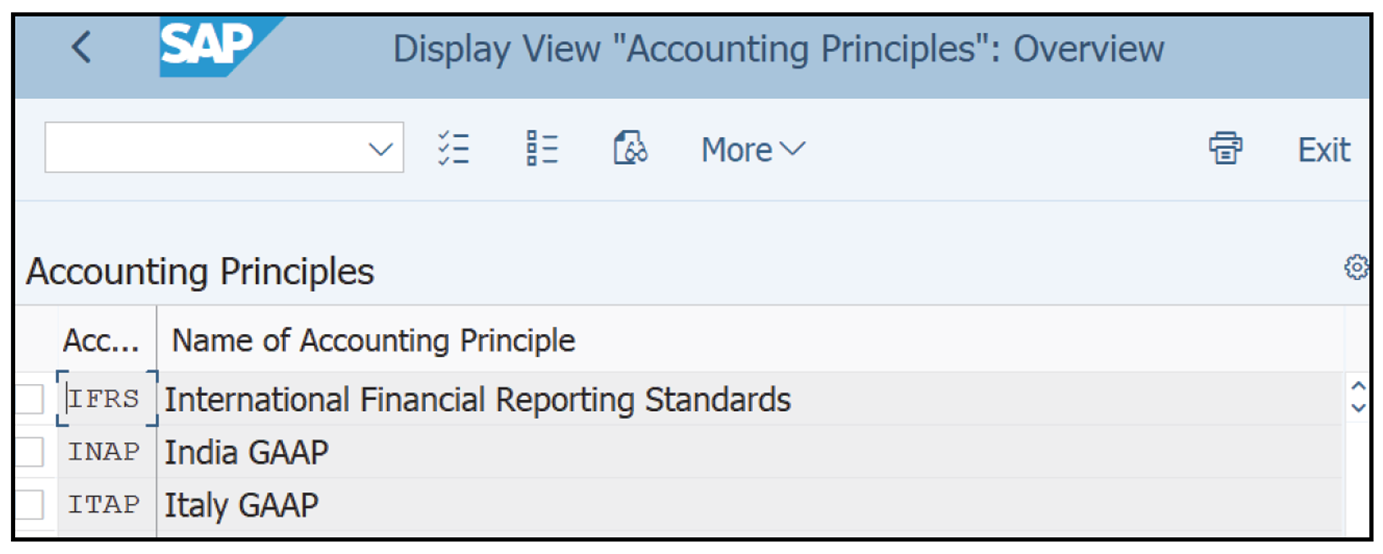 Definition of Accounting Principles in IMG