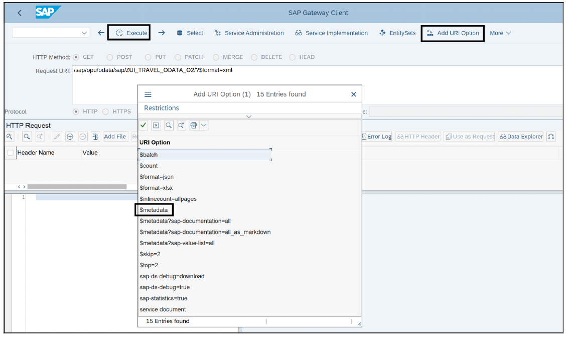 Displaying Metadata of an OData Service in SAP Gateway Client