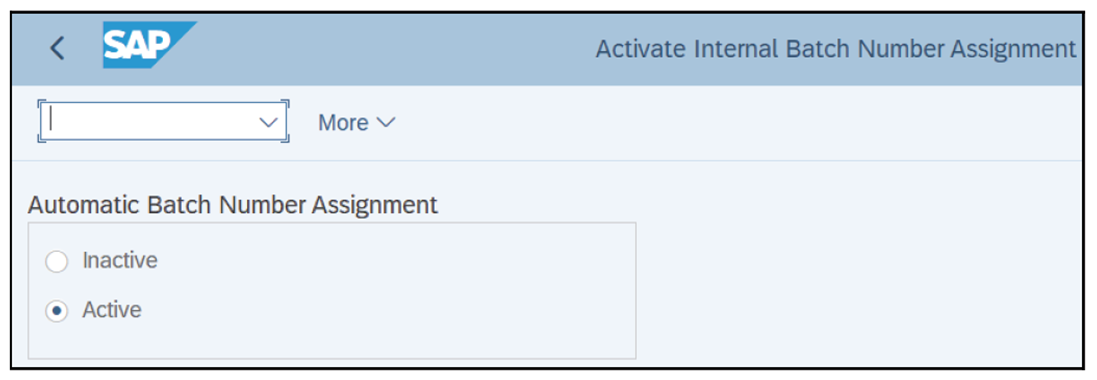 Activate Internal Batch Number Assignment