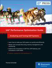 SAP Performance Optimization Guide