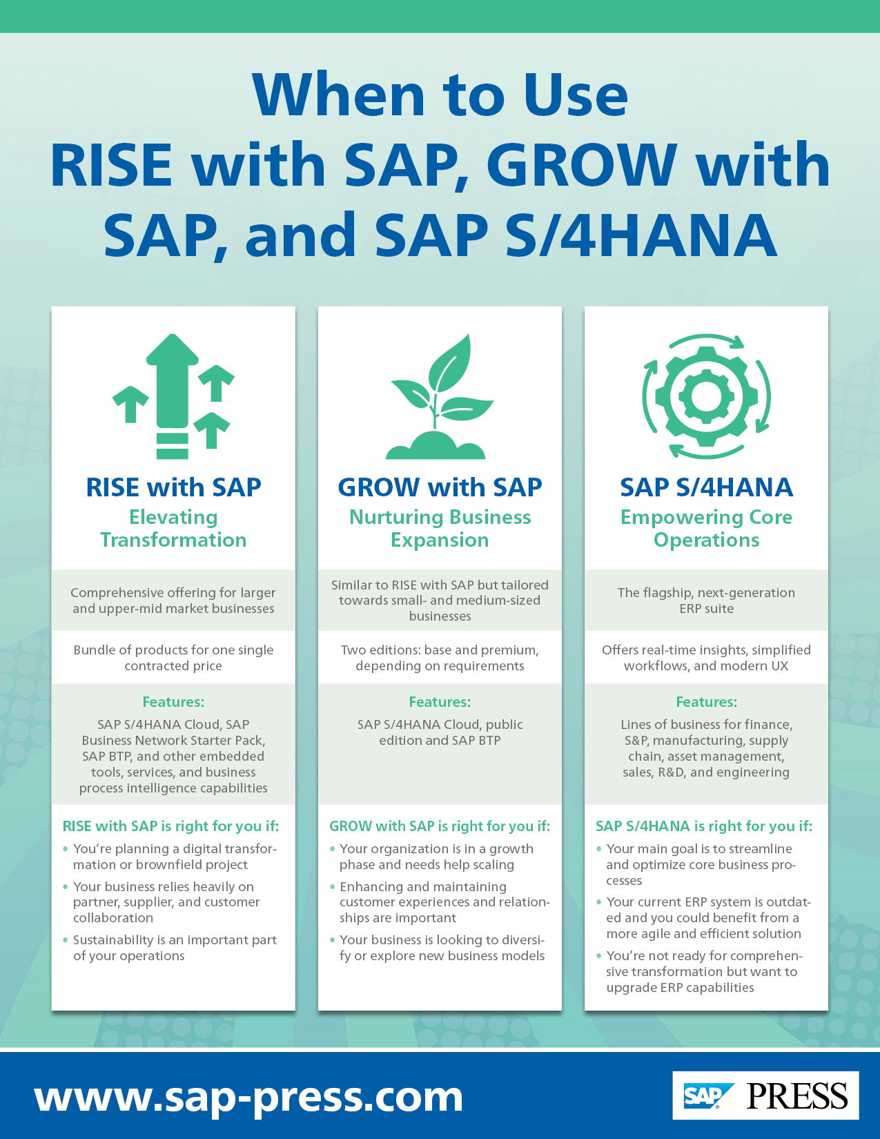 RISE with SAP, GROW with SAP, or SAP S/4HANA: What Is Right for Your Business?