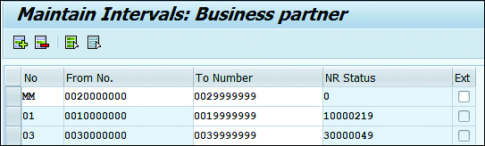 Maintain Intervals: Business Partner